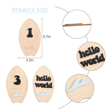 Wooden Surf Baby Monthly Milestone Cards - Beach First Year Monthly Milestone Markers, Ocean Waves Interchangeable Month Milestone Discs, Baby Photo Props