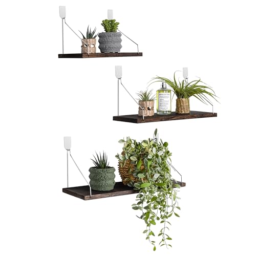 Floating Shelves Set of 3 Rustic Solid Wood Floating Shelf Wall Storage Shelves for Living Room, Bedroom, Bathroom, Kitchen Laundry, Office.no Drill Shelf.(Retro Color L+M+S) - color: Retro Color, size: L+M+S