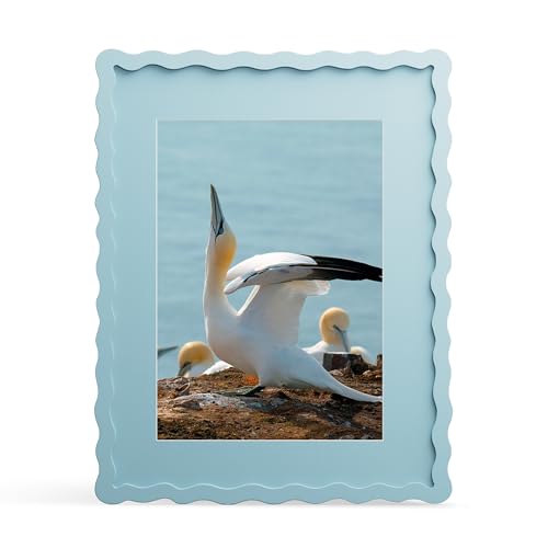 11x14 Picture Frame with Mat for 8x10, Wavy Edge Wooden Real Glass Photo Frame for Wall Hanging, Blue, 1 Pack - color: Blue, size: 11x14 in