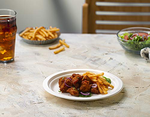 GUSTO [9 Inch - 250 Pack Heavy-Duty White Paper Plates, 100% Compostable, Eco-Friendly - Biodegradable Disposable Plates, Sugarcane Paper Plates