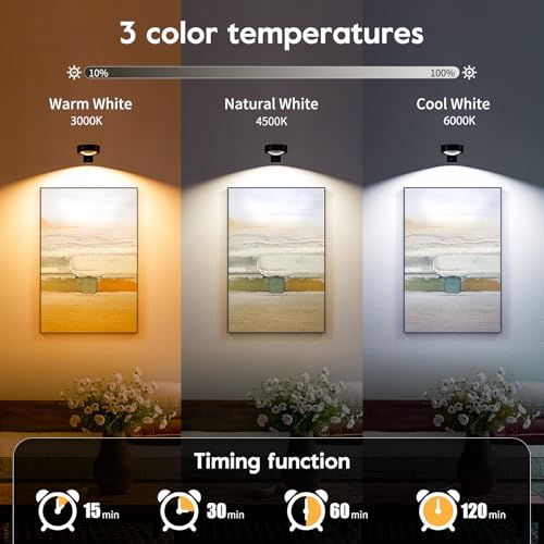 Brightown 2-Pack Picture Lights for Wall, Magnetic Art Display Picture Lights with Remote, 3 Lighting Modes Battery Operated Picture Light, Dimmable & Timer Art Wall Lights for Pictures, Black - size: 2PACK