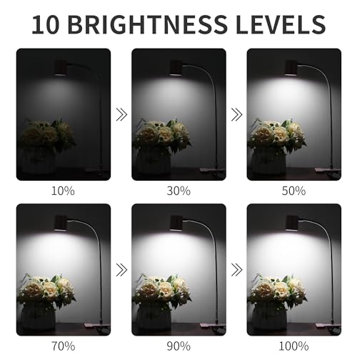 Dott Arts Desk Lamp,USB Clip On Light with 3 Color Modes,LED 10 Levels Brightness Reading Lamp, 360°Gooseneck Book Light,Eye-Care Reading Light for Home Office,Headboards Pink - color: Pink