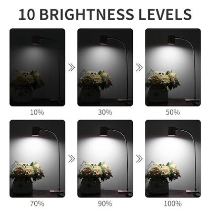 Dott Arts Desk Lamp,USB Clip On Light with 3 Color Modes,LED 10 Levels Brightness Reading Lamp, 360°Gooseneck Book Light,Eye-Care Reading Light for Home Office,Headboards Pink - color: Pink