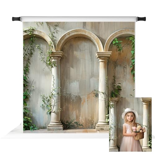 Kate Spring Plants Backdrop for Photography Vintage Arch Wall Background Photo Fabric Studio Props 8x8ft - size: 8x8ft