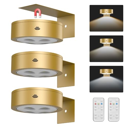 EUIOKUN 3Pack Wireless Picture Light,Battery Operated Painting Light with Remote,Magnetic Timer Display Art Lamp for Wall,Dimmable Picture Frame Light for Frame Artwork,Wall Decor Puck Lights-Gold - color: Gold, size: 3Pack