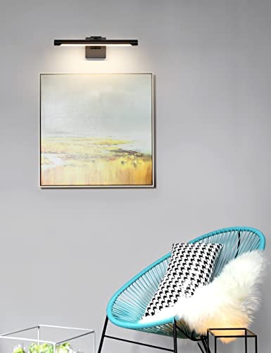 Joosenhouse LED Picture Light Fixtures 16.53" Inches Long Modern Black Wall Lamps with Rotatable Lighting Tube Picture Frame Lights for Paintings 7W(50W Eqv.) Hardwired Connection 3000K - color: Black, size: Non-Dimmable 16.53" Long