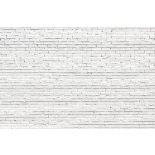 White Brick Photography Backdrop Vintage White Brick Wall Photo Backdrop Newborn Baby Shower Girls Adults Birthday Portrait Photography Background Wallpaper Photo Studio Props Vinyl 5x3ft - color: White, size: 5x3ft