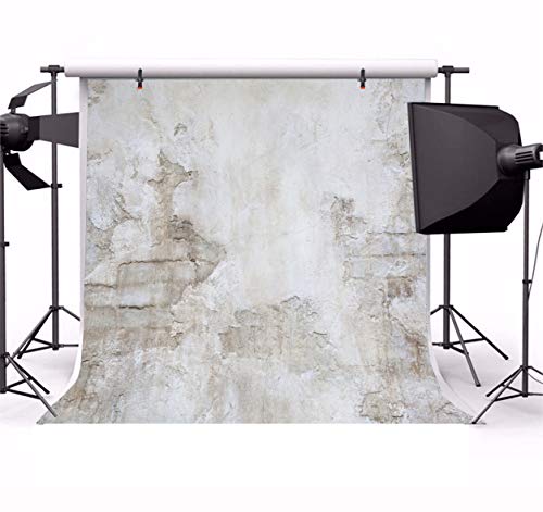 Laeacco Rock Wall Backdrop for Photography 10x10ft Rustic Grunge Stone Wall Background Antique Ingredient Retro Architecture Rough Wall Newborn Baby Shower Birthday Party Decor Photo Studio Shoot Prop - size: 10x10ft