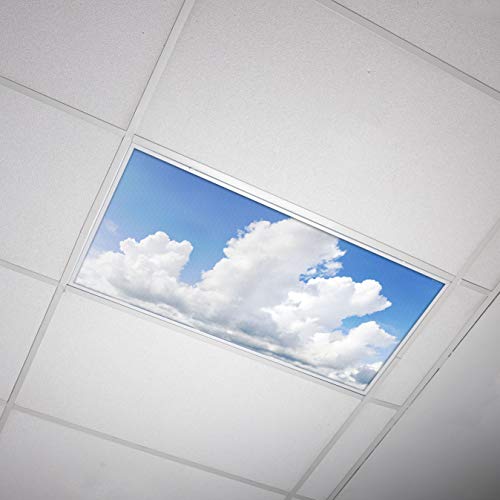 OCTO LIGHTS Fluorescent Light Covers Cloud Sky Panel for Ceiling Lights, Light Covers for Ceiling Lights Classroom 2x4 (22.38"x46.5") Backlit Film Insert for Fluorescent Light Fixtures (Pack of 1) - color: Majestic Cumulus, size: 1pk