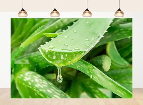 10x7ft Fabric Fresh Aloe Vera Leaf Gel Drop Backdrop Hydrating Plant Skincare Photography Background Wellness Wall Decor Party Decorations Tapestry Photo Shoot Studio Props - size: 10X7ft