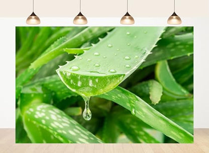 10x5ft Fabric Fresh Aloe Vera Leaf Gel Drop Backdrop Hydrating Plant Skincare Photography Background Wellness Wall Decor Party Decorations Tapestry Photo Shoot Studio Props - size: 10x5ft