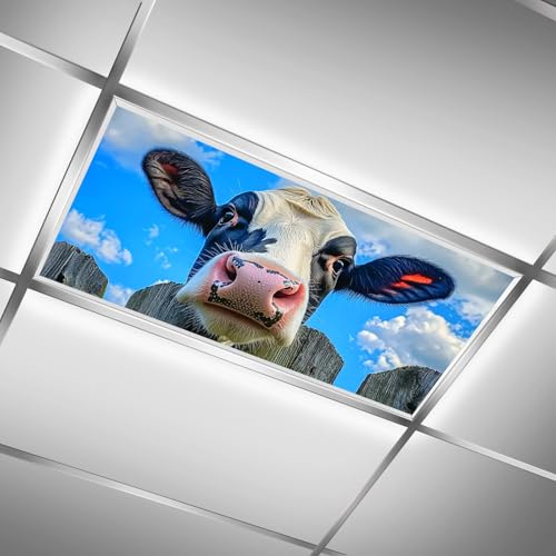 Fluorescent Light Covers for Classroom Ceiling Lights – 2x4ft Backlit Film for Fluorescent Fixtures, Reduce Glare and Eye Strain, Easy to Install – School, Office, Sensory - A Calf - color: A calf（2）