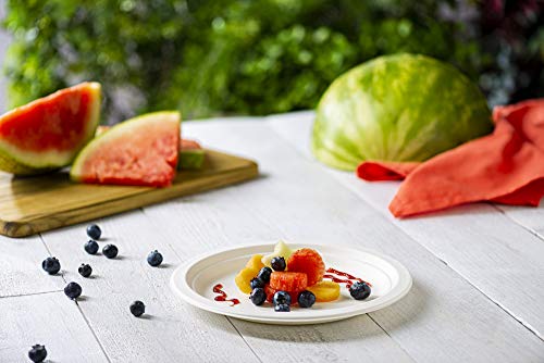 GUSTO [9 Inch - 250 Pack Heavy-Duty White Paper Plates, 100% Compostable, Eco-Friendly - Biodegradable Disposable Plates, Sugarcane Paper Plates