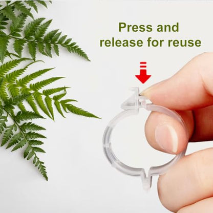 Secured Plastic Plant Clip, 2024 Upgraded Plant Support Clips Reusable Garden Clips 50Pcs, Plant Support Clips Garden Climbing Vines Fixing Clip Trellis Clips Climbing Tomato Clips (50, Green) - color: Green
