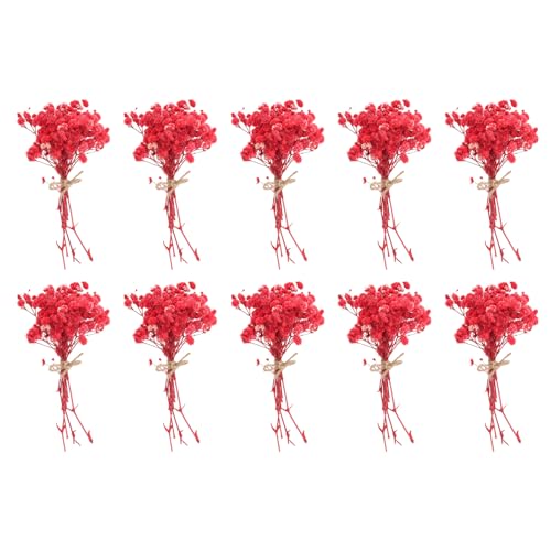 PATIKIL Mini Dried Flower Bouquet, 10 Pcs Baby's Breath Natural Wildflower with Stem Decor Boho Floral Plant Flower for Crafts DIY Photo Props Gift Wedding Decor, Red - color: Red
