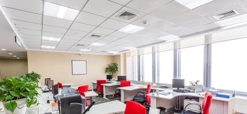 F12-100/2246-4 Pack | Replacement Fluorescent Light Cover | Flat Sheet Clear Prismatic Acrylic | Light Fixture Covers from Fluorolite | 22.5"x46.5"x.100 | 4 Pack