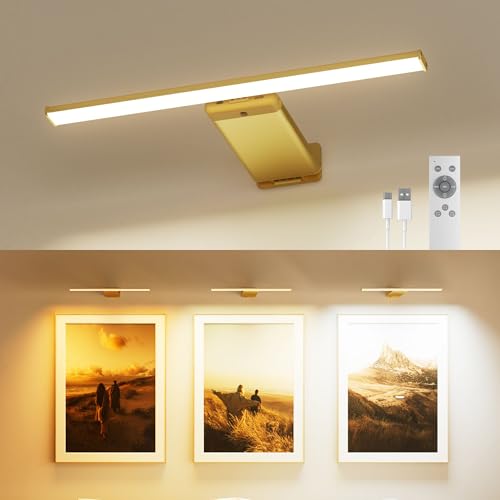 Picture Light for Wall with Remote, Picture Lights Battery Operated Rechargeable 12000mAh, 3 Colors & 3 Timers, Brightness Dimmable for Gallery Poster Frame Painting Photo Art Display (Gold, 1 Pack) - color: Gold, size: 1 Pack