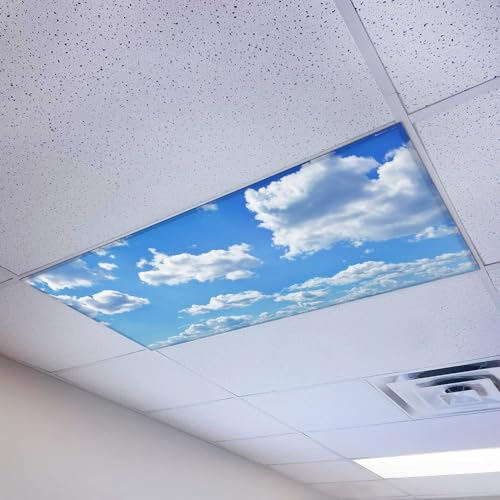 Magnetic Fluorescent Light Cover for Ceiling Lights Classroom 2x4 - High Resolution Magnetic Office Light Filter (Pack of 1) - Improve Focus, Eliminate Headaches & Eyestrain - Cloud - color: Cumulus Mediocris