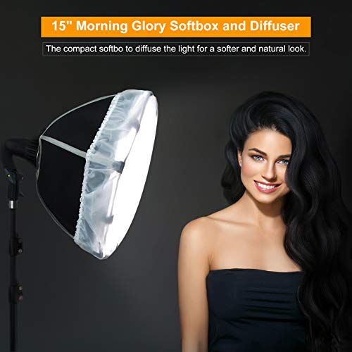 LINCO Lincostore Studio Round Lighting LED Bulb 15 inch Portrait Light Modern Style with Diffuser (Single Light) AM264