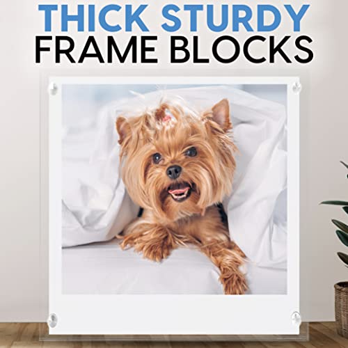 Mammoth DuraClear Magnetic Picture Frame 4x4 - Frameless Polaroid and Wallet Size Photo Holder - Ideal for Modern, Minimalist Decor - size: 4x4 Frame