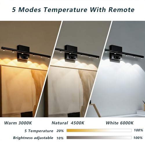 Picture Lights Rechargeable for Wall: Battery Operated Wall Sconces Wireless Art Lighting for Painting Canvas Gallery 360° Rotatable Detachable Battery Aluminum 48H(1, Black+Gold with Lens) - color: Black+Gold With Lens