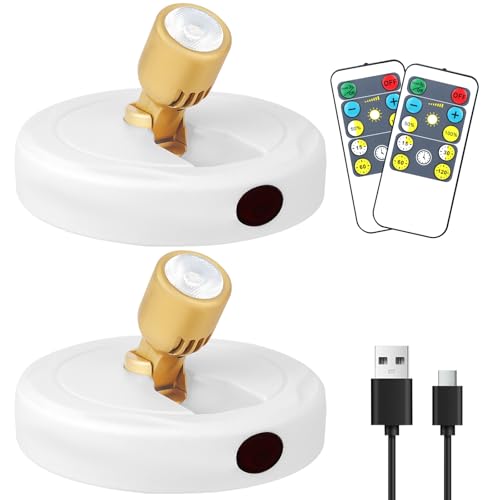 Rechargeable Spotlight, Battery Operated Picture Lights with Remote, Cordless Plant Spot Light Indoor, LED Accent Lighting, Dimmable Uplight for Tree Painting Artwork Photo Dartboard Decor - color: chargeable White+G
