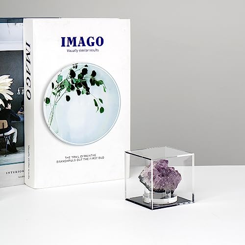 Clear Acrylic Boxes for Collectibles Display, Removable Countertop Storage Box Cube Organizer Stand Riser, Dustproof Protection Showcase for Crystals Minerals Slab Fossil Coral, 3x3x3Inch