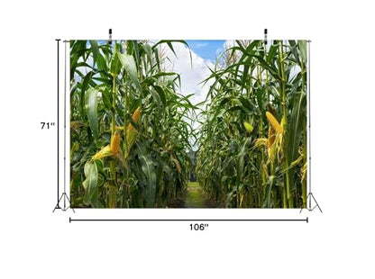 BELECO 9x6ft Green Cornfield Backdrop Fabric Rural Corn Fields Maize Photography Background Farmland Crops Fall Harvest Theme Party Decor Backdrop Coutryside Farm Agriculture Scenery Photo Props - size: 9x6FT