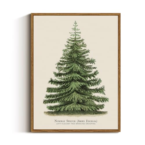 VIYYIEA Framed Canvas Wall Art, Vintage Christmas Decor, Living Room Botanical Fir Pine Tree Winter Decor for Bedroom Bathroom, Xmas Holiday Decorations Gifts, 12x16 Inch - color: Fir Pine Tree, size: 16"L x 12"W