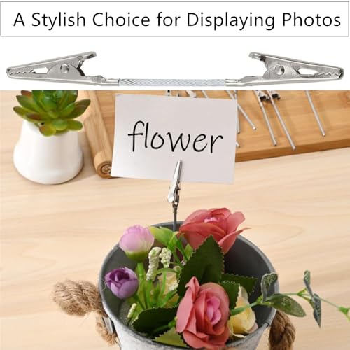 10 Pcs Double Sided Metal Alligator Clips for Crafts, Photos, Notes, Silver