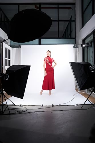 Seamless Photo Photography Background Paper Backdrop for Photoshoot, Videos, YouTube, Livestream, 107" x36', Snow - color: Snow
