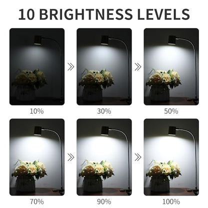 Dott Arts Desk Lamp,USB Clip On Light with 3 Color Modes,LED 10 Levels Brightness Reading Lamp, 360° Gooseneck Book Light,Eye-Care Reading Light for Home Office,Headboards Gold, DA-3.5W-01 - color: Dark Yellow
