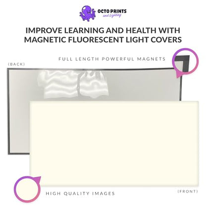 OCTO LIGHTS Fluorescent Light Covers for Ceiling Lights Classroom 2x4, Magnetic Light Covers Beige Ceiling Light Cover Panel for Classrooms, Offices and Healthcare - Improve Focus & Reduce Eyestrain - color: Light Beige