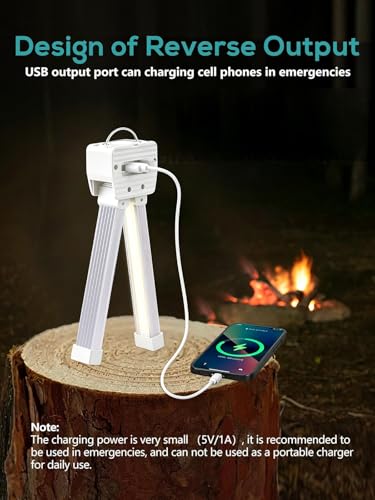 Gym Lamp, Gym Lighting for Posing, Magnetic Photography Light, Gift for Women/Men, 180° Rotate Foldable with Hang Hook Camping Lamp, USB LED Handheld Flashlight-White - color: White