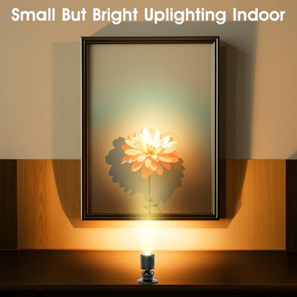 12pcs Warm White Mini LED Spot Lights, 3000K Under Cabinet Lights, Mini Spotlights Display Light for Painting Picture Plants Jewelry Showcase Model Display Shelves ,Pushbutton Switches,U.S. Plugs