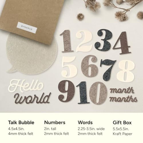Felt Speech Bubble Baby Monthly Milestone Signs, First Year Baby Photo Prop | Birth Announcement, Growth Tracking, Gender Neutral Baby Shower, Newborn Gift (Neutral) - color: Neutral