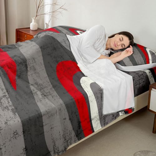 Feelyou Red and Gray Bed Sheets Set Abstract Art Sheet Set for Kids Boys Girls Teens Retro Circle Sheets with Deep Pocket Fitted Sheet Swirl Bedding Set 4Pcs with 2 Pillow Case Queen Size - color: Multi Aa04, size: Queen