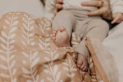 Mini Wander Swaddles for Newborns Muslin Swaddle Blankets - Breathable Soft Gender Neutral Receiving Blanket Baby Essentials | 47 x 47 Cotton - (Tapestry (Maple Sugar) - color: Tapestry (Maple Sugar)