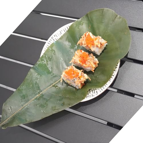 Rainlily Wen Sushi Plate Decoration Green Leaf Real Leaves Big Leaf Houpoea officinalis Leaves Party Decoration (40, Green)
