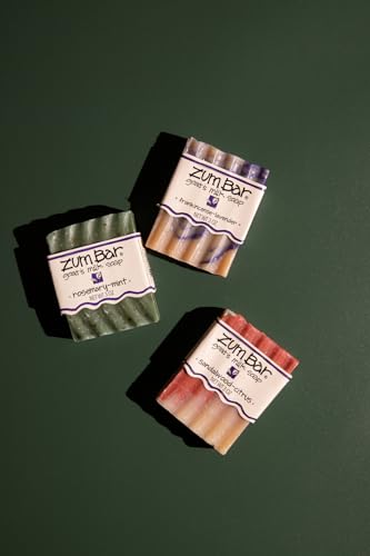 Bessie Bakes Tis The Season Solid Color Roll-Up 2 Feet x 3 Feet Photography Backdrops 4 Pack - color: Evergreen, Cranberry Sauce, Ivy, Silver