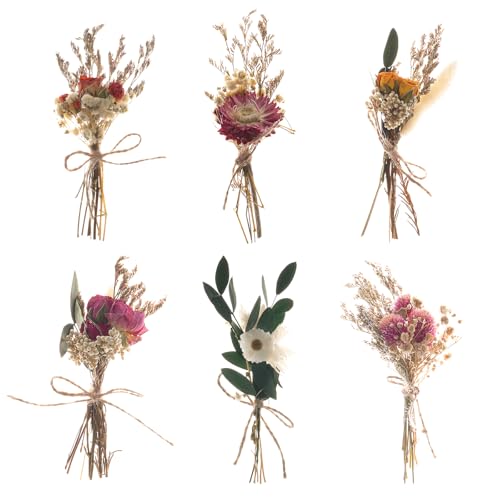Fumwase 6Pcs Mini Dried Flower Bouquet Natural Real Flowers for Crafts Boho Dried Flowers Bulk Small Dried Flowers for Vase Dried Wildflowers for DIY Photo Props Gift Wedding Decor