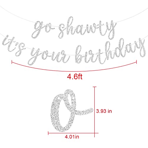 Go Shawty It's Your Birthday Banner, Hip Hop Birthday Party Decorations Supplies, Rap Theme Bday Bunting Sign, Pre-strung, Photo Props (Silver) - color: Silver