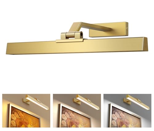 Afyuol Picture Lights for Wall, Brushed Gold Battery Operated Picture Light 16in Art Light CCT Dimmable Recharging Battery Wall Light with Remote Control for Living Room Gallery - color: Brushed Gold, size: 1PC16in