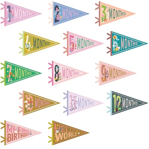 VitalCozy 14 Pcs Baby Milestone Pennant Signs Monthly Milestone Banner Flags Pennant Triangle Banner Age Flag Signs for Boy Girl Newborn Birthday Party Decor(Flower) - color: Flower