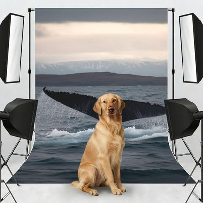 Humpback Whale Tail Ocean Backdrop Background for Photography 5x7ft Photobooth Professional Photo Backdrop Curtains Video Photography Studio Photo Backgrounds Banner Booth Background Screen Parties - color: Humpback Whale Tail Ocean