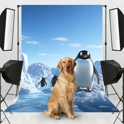 Penguin Antarctica Ice Backdrop Background for Photography 5x7ft Photobooth Professional Photo Backdrop Curtains Video Photography Studio Photo Backgrounds Banner Booth Background Screen Parties - color: Penguin Antarctica Ice