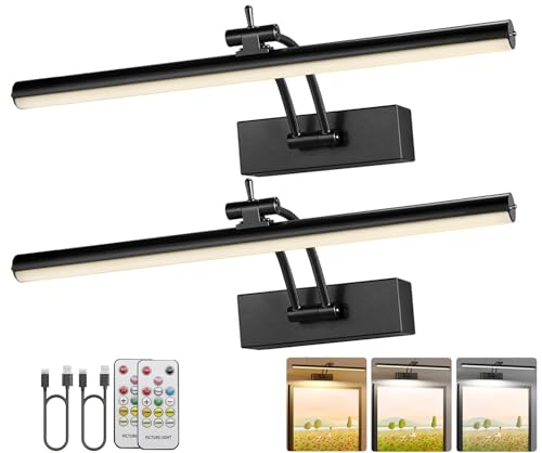 Yuichoy 2 Pack Picture Lights for Wall Battery Operated, 12 inch Wireless Art Lighting for Painting, 6 Colors Picture Frame Lights with Remote, Dimmable 4200mAh Gallery Light, Black - color: Black, size: 12 Inch