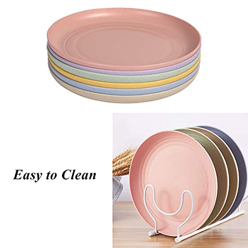 CAMBUY Wheat Straw Plates Lightweight Unbreakable Dinner Dishes Plates Set Dishwasher & Microwave Safe (Small 6 Pack 5.9') - color: Small Multicolour