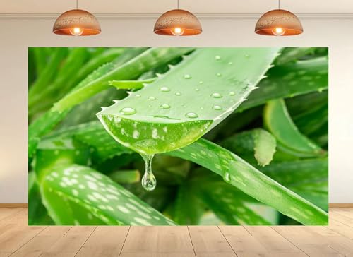 10x10ft Fresh Aloe Vera Backdrop Green Leaf and Gel Texture Background Tapestry for Skincare Bloggers Wellness Events Photography Decorations Photo Shoot Props - size: 10x10ft