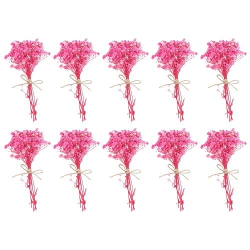 PATIKIL Mini Dried Flower Bouquet, 10 Pcs Baby's Breath Natural Wildflower with Stem Decor Boho Floral Plant Flower for Crafts DIY Photo Props Gift Wedding Decor, Rose Pink - color: Rose Pink